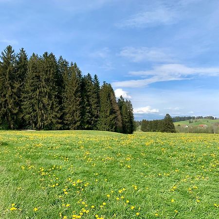 Lindners Hideaways - Bergnest Lodge - Bergblick Fewo 6 Pers Balkon Garten Hund Ski Unterkunft Luftkurort Oberreute Naehe Buchenegger Wasserfaelle Eistobel Bodensee Exteriör bild