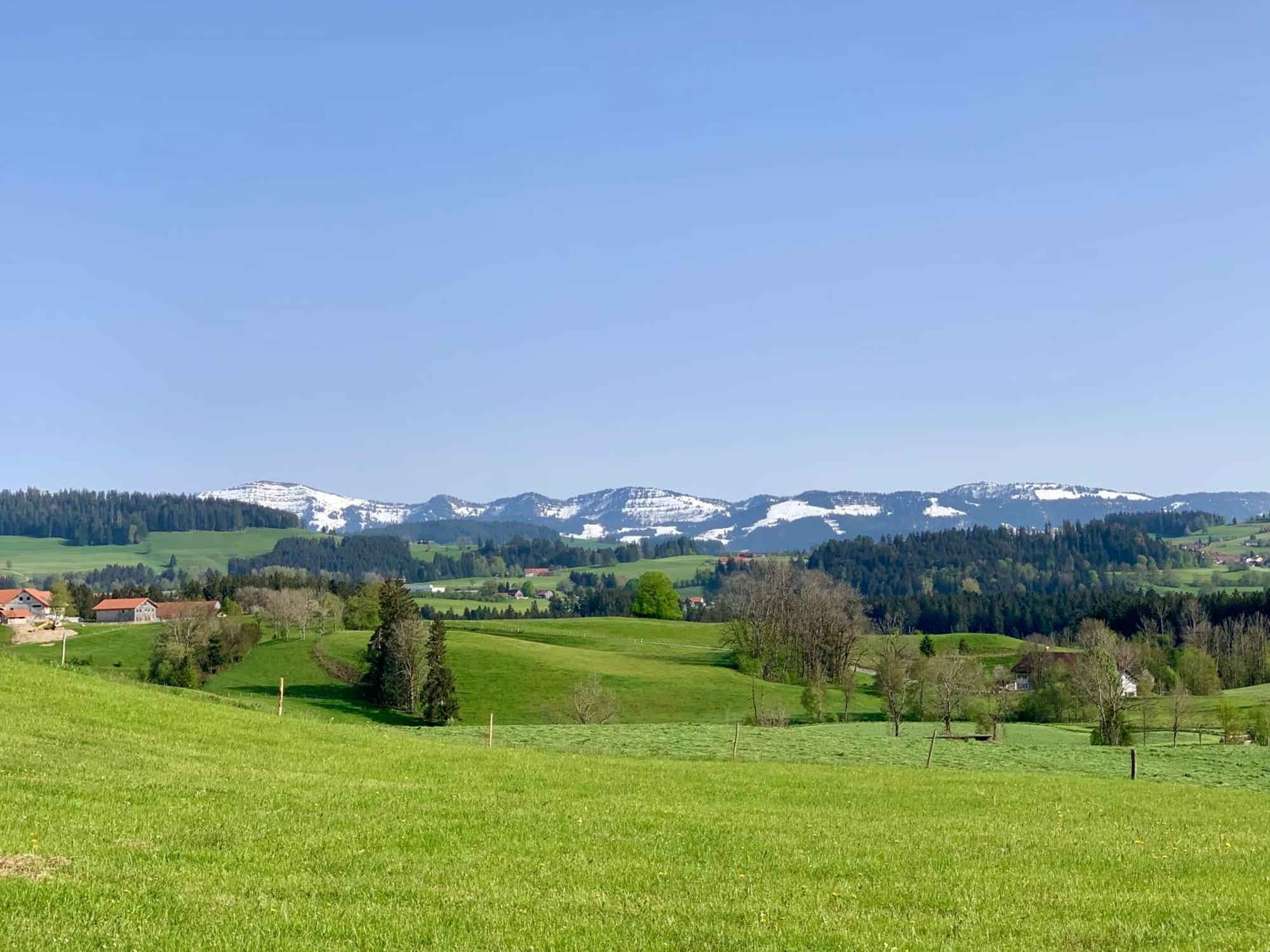 Lindners Hideaways - Bergnest Lodge - Bergblick Fewo 6 Pers Balkon Garten Hund Ski Unterkunft Luftkurort Oberreute Naehe Buchenegger Wasserfaelle Eistobel Bodensee Exteriör bild