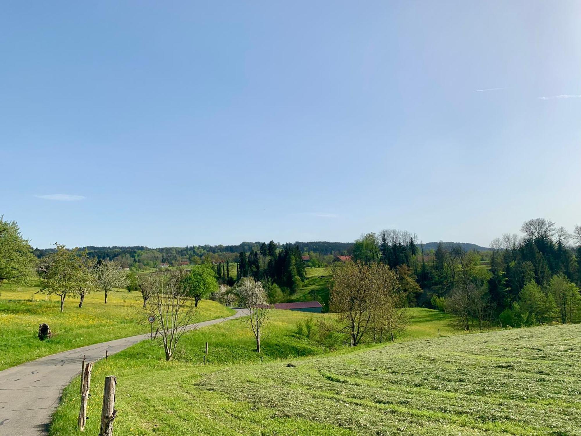 Lindners Hideaways - Bergnest Lodge - Bergblick Fewo 6 Pers Balkon Garten Hund Ski Unterkunft Luftkurort Oberreute Naehe Buchenegger Wasserfaelle Eistobel Bodensee Exteriör bild