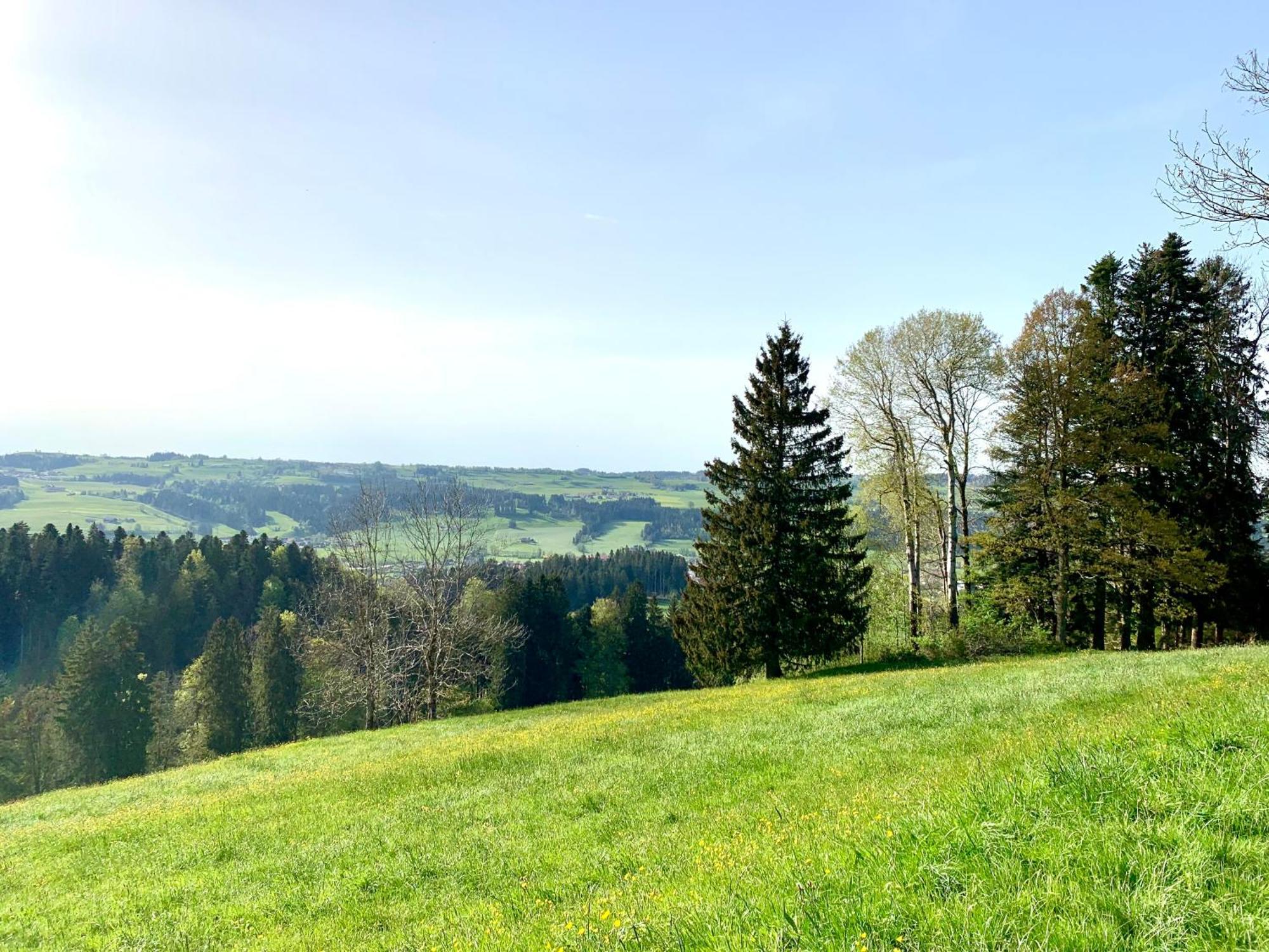 Lindners Hideaways - Bergnest Lodge - Bergblick Fewo 6 Pers Balkon Garten Hund Ski Unterkunft Luftkurort Oberreute Naehe Buchenegger Wasserfaelle Eistobel Bodensee Exteriör bild